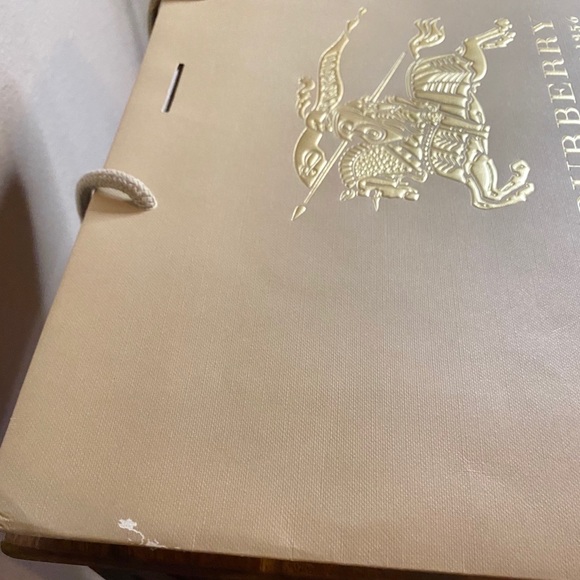 BURBERRY Gold Embossed Gift Bag - Picture 6 of 13
